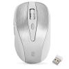 Everest CM-890G 6D Metalik Gümüş 1600 Dpi Alkalin Pilli Kablosuz Lüks Optik Mouse