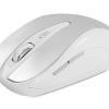 Everest CM-890G 6D Metalik Gümüş 1600 Dpi Alkalin Pilli Kablosuz Lüks Optik Mouse