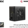 Everest ETX-750-1 750W 80 Plus Gold Aktif PFC 12cm Fan Gaming Power Supply