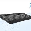 Everest KB-2900 Siyah USB Q Multimedia Klavye