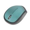 Everest SM-340 Usb Metalik Yeşil 3D Optik Süper Sessiz Alkalin Pilli Kablosuz Mouse