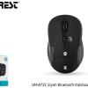 Everest SM-BT31 Siyah Bluetooth Kablosuz Mouse