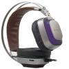 Rampage SN-RW77 PRESTIGE Metalik Gri USB 7.1 Ergonomik Tasarım Gizli Mikrofonlu Oyuncu Kulaklık