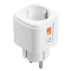 S-Link Swapp SL-02 10 Amper Akıllı Priz Wifi TUYA Destekli
